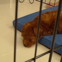 Kirby.2010.08.09-009.JPG