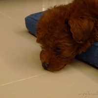 Kirby.2010.08.09-010.JPG