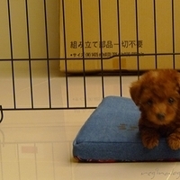 Kirby.2010.08.09-011.JPG