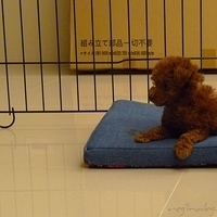 Kirby.2010.08.09-012.JPG