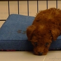 Kirby.2010.08.09-013.JPG