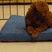 Kirby.2010.08.09-014.JPG