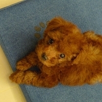 Kirby.2010.08.09-015.JPG