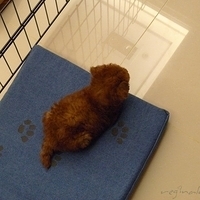 Kirby.2010.08.09-016.JPG