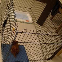 Kirby.2010.08.09-017.JPG
