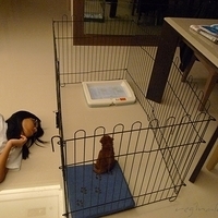 Kirby.2010.08.09-018.JPG