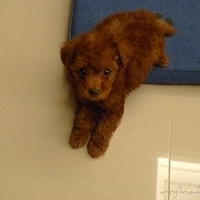 Kirby.2010.08.09-019.JPG