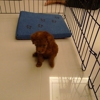Kirby.2010.08.09-020.JPG