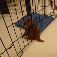 Kirby.2010.08.09-021.JPG