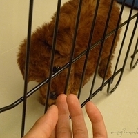 Kirby.2010.08.09-022.JPG