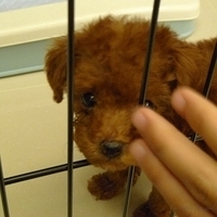 Kirby.2010.08.09-023.JPG
