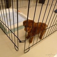 Kirby.2010.08.09-024.JPG