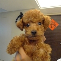 Kirby.2010.08.27-001.JPG