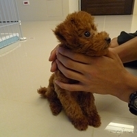 Kirby.2010.08.27-002.JPG