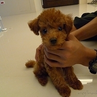 Kirby.2010.08.27-003.JPG