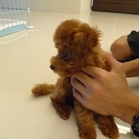 Kirby.2010.08.27-004.JPG