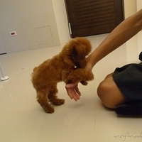 Kirby.2010.08.27-005.JPG