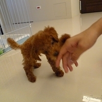 Kirby.2010.08.27-006.JPG