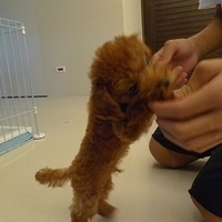 Kirby.2010.08.27-007.JPG
