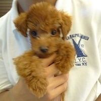 Kirby.2010.08.27-009.JPG