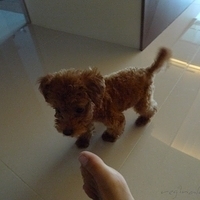 Kirby.2010.08.28-001.JPG
