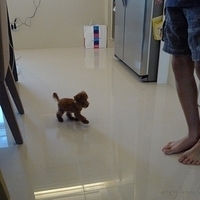 Kirby.2010.08.28-002.JPG