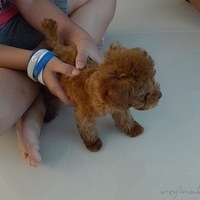 Kirby.2010.08.28-004.JPG