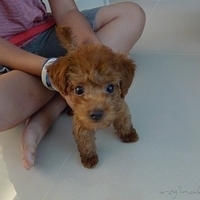 Kirby.2010.08.28-005.JPG