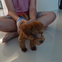 Kirby.2010.08.28-006.JPG