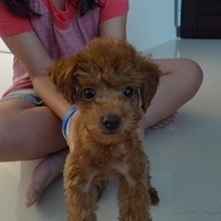 Kirby.2010.08.28-007.JPG