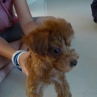 Kirby.2010.08.28-008.JPG