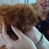 Kirby.2010.08.28-009.JPG