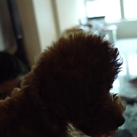 Kirby.2010.08.28-010.JPG