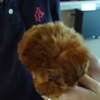 Kirby.2010.08.28-011.JPG
