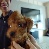 Kirby.2010.08.28-013.JPG
