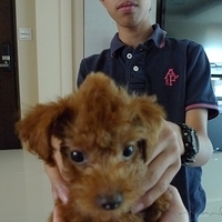 Kirby.2010.08.28-014.JPG