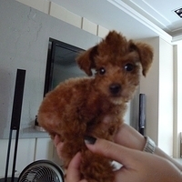 Kirby.2010.08.28-018.JPG