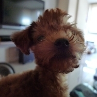 Kirby.2010.08.28-019.JPG
