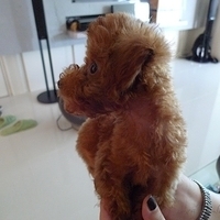 Kirby.2010.08.28-020.JPG