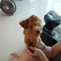 Kirby.2010.08.28-021.JPG