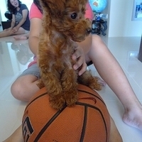 Kirby.2010.08.28-023.JPG