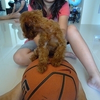 Kirby.2010.08.28-024.JPG