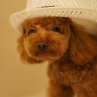 August 2011
