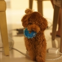 Kirby.2011.08.15-001.JPG