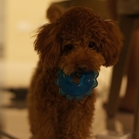 Kirby.2011.08.15-002.JPG