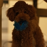 Kirby.2011.08.15-003.JPG