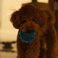 Kirby.2011.08.15-004.JPG