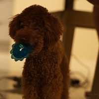 Kirby.2011.08.15-005.JPG