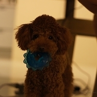 Kirby.2011.08.15-006.JPG