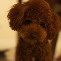 Kirby.2011.08.15-007.JPG